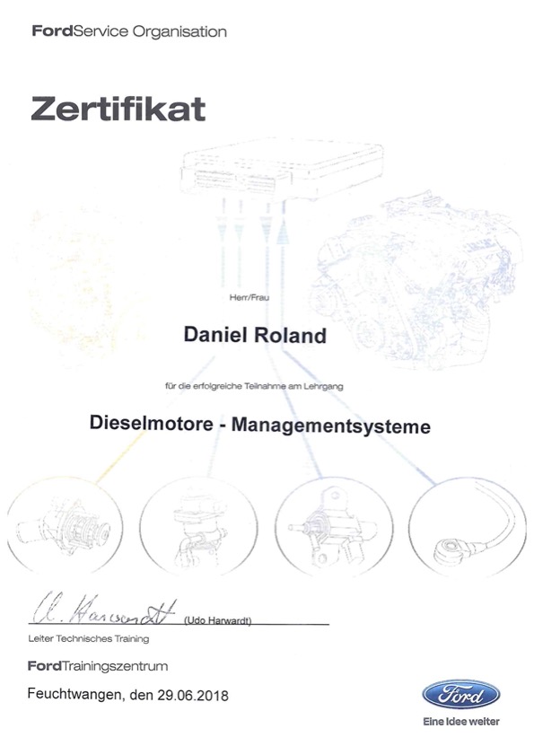 Dieselmotore Managementsysteme Daniel Roland
